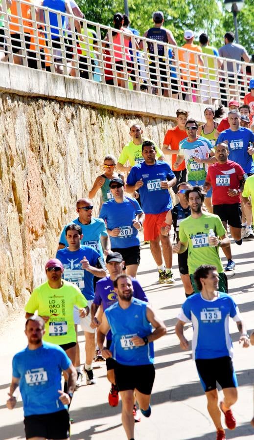 Carrera El Arco: Adultos