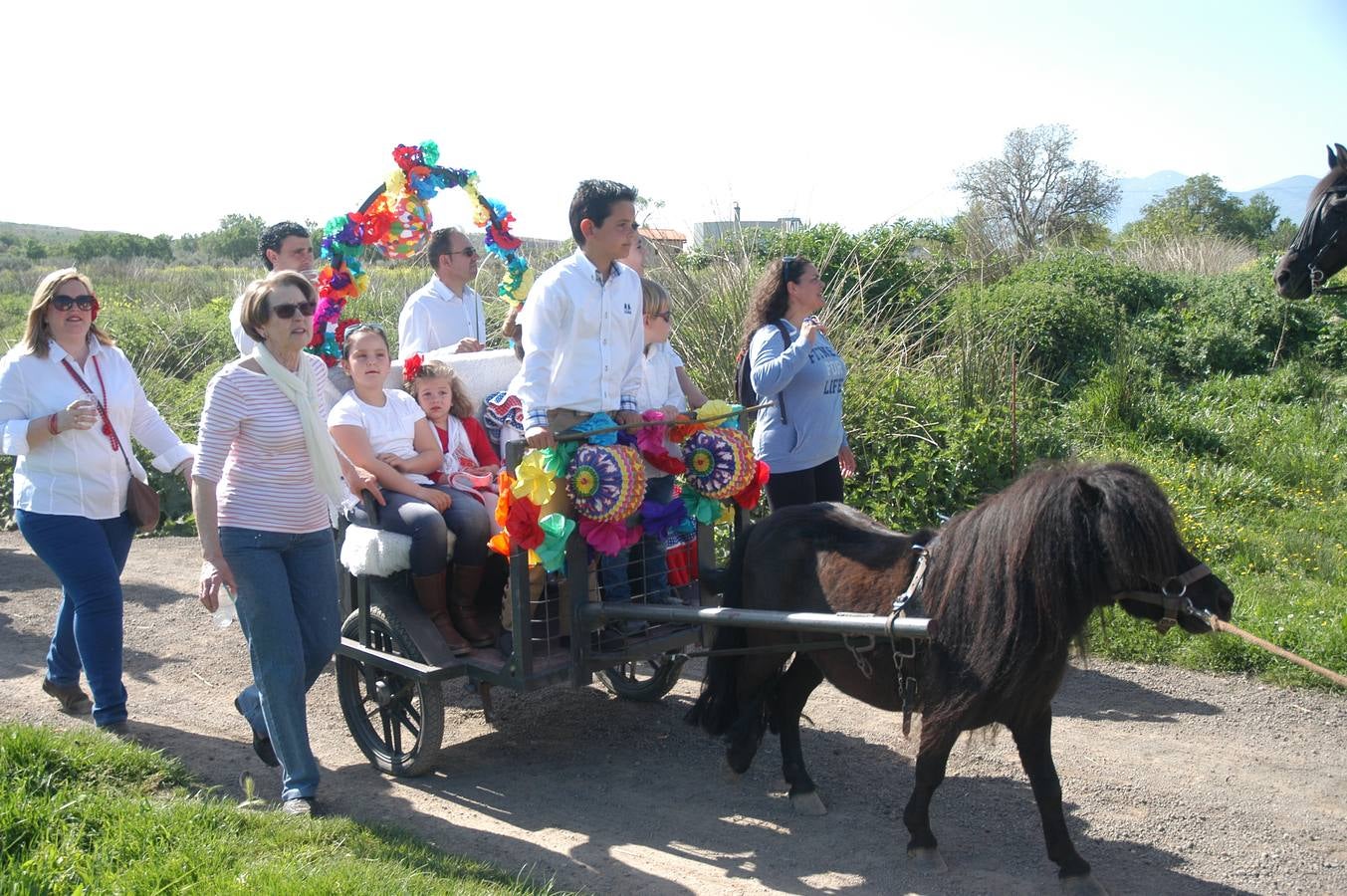 Caballos, carros y rebujito