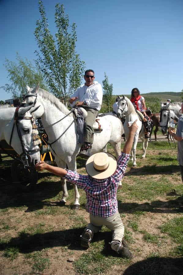 Caballos, carros y rebujito