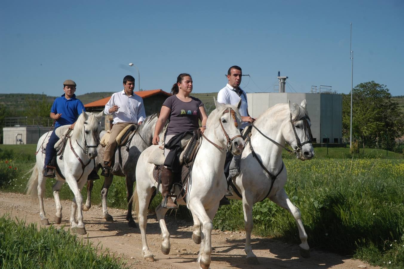 Caballos, carros y rebujito