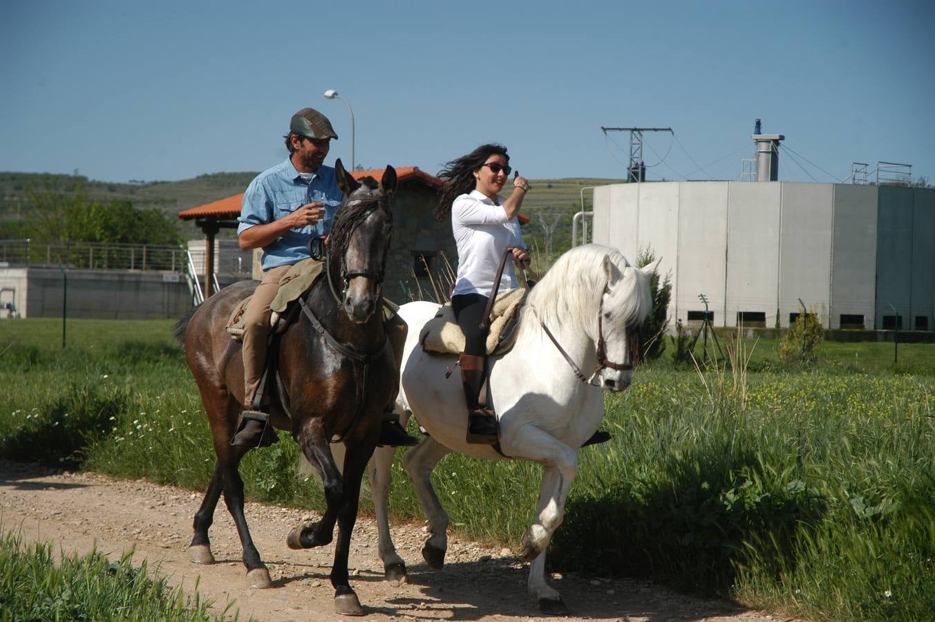 Caballos, carros y rebujito