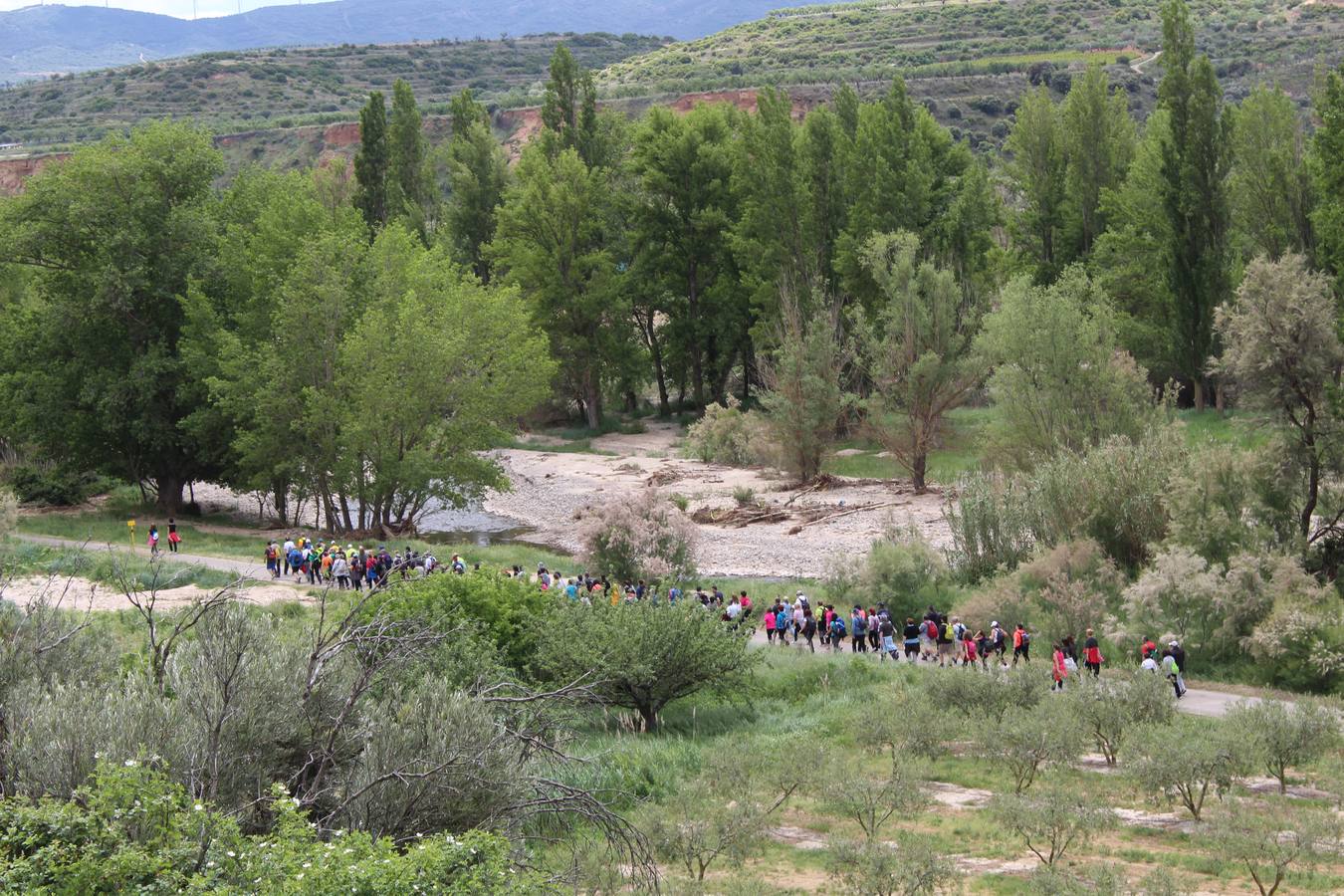 Desde Arnedillo a Calahorra en la Marcha de la Vía Verde