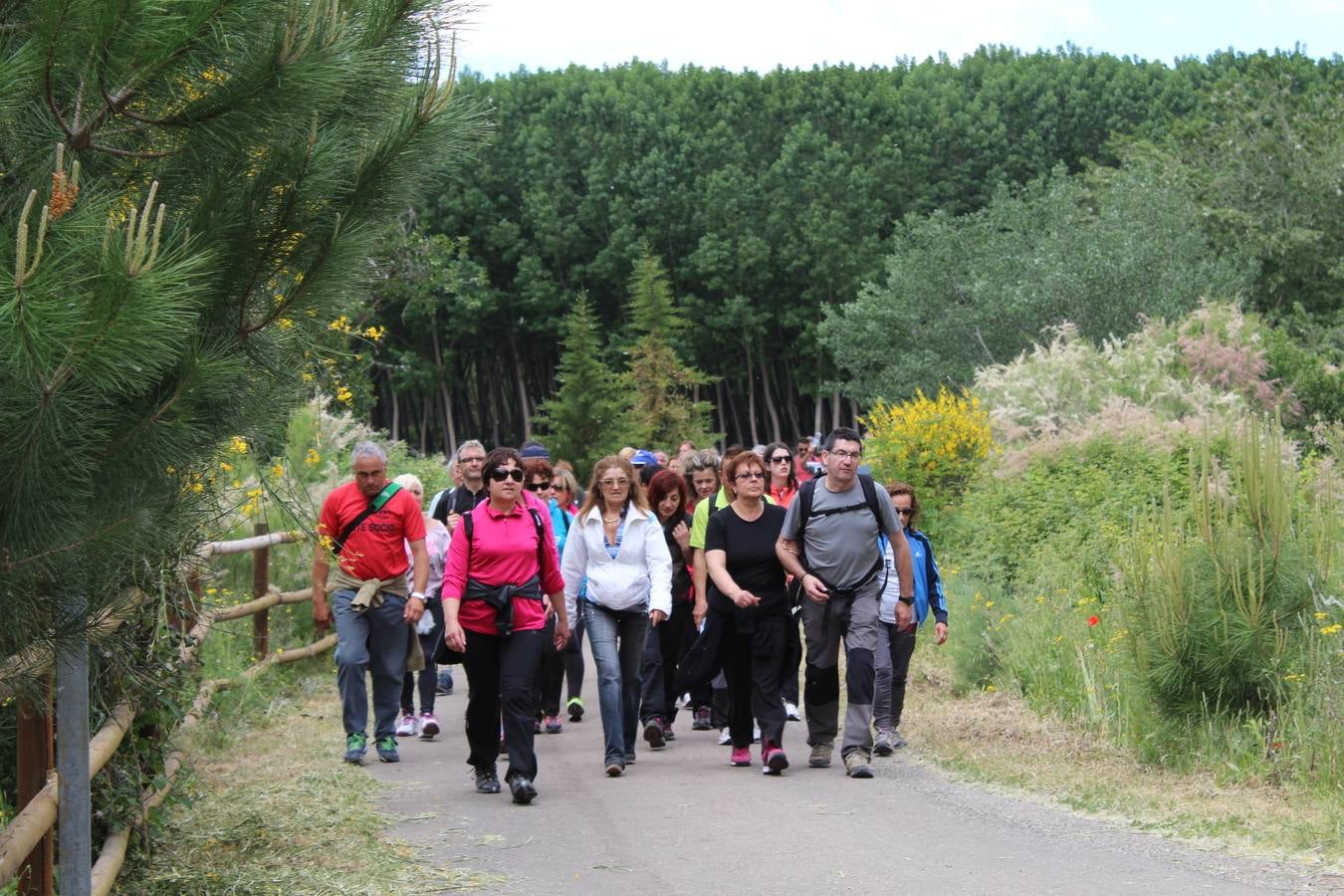 Desde Arnedillo a Calahorra en la Marcha de la Vía Verde