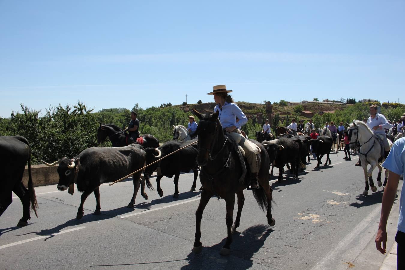 Fiesta de la trashumancia en Arnedo