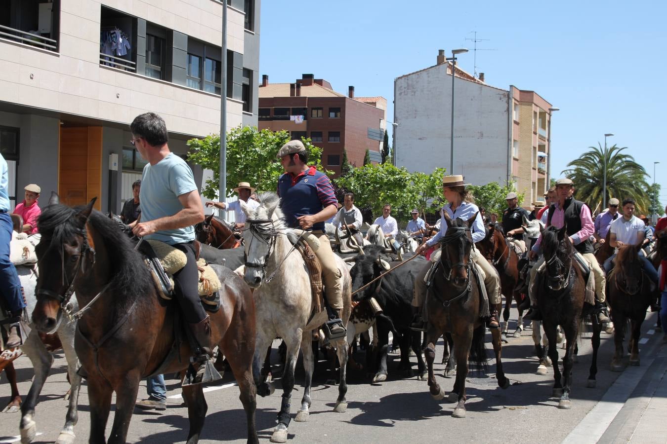 Fiesta de la trashumancia en Arnedo