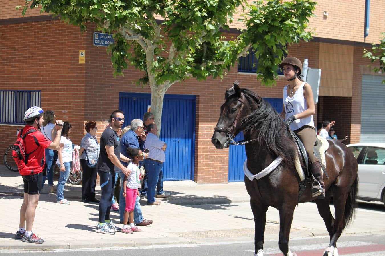 Fiesta de la trashumancia en Arnedo