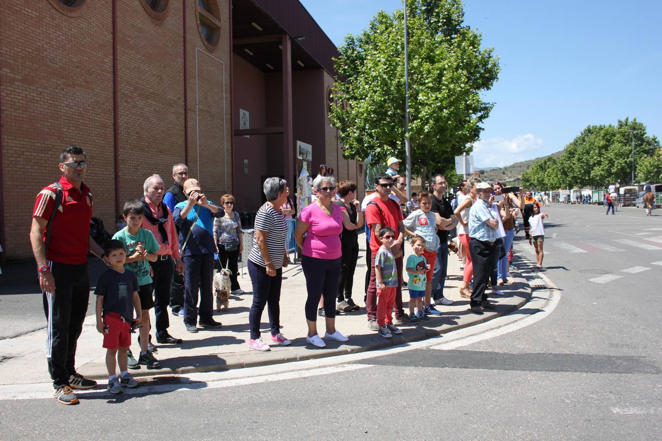 Fiesta de la trashumancia en Arnedo