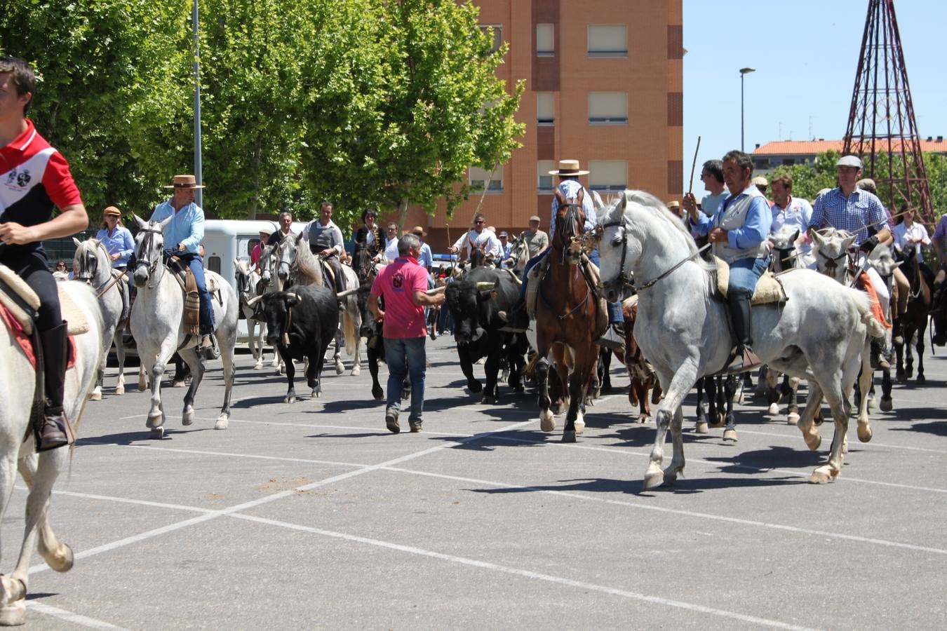 Fiesta de la trashumancia en Arnedo