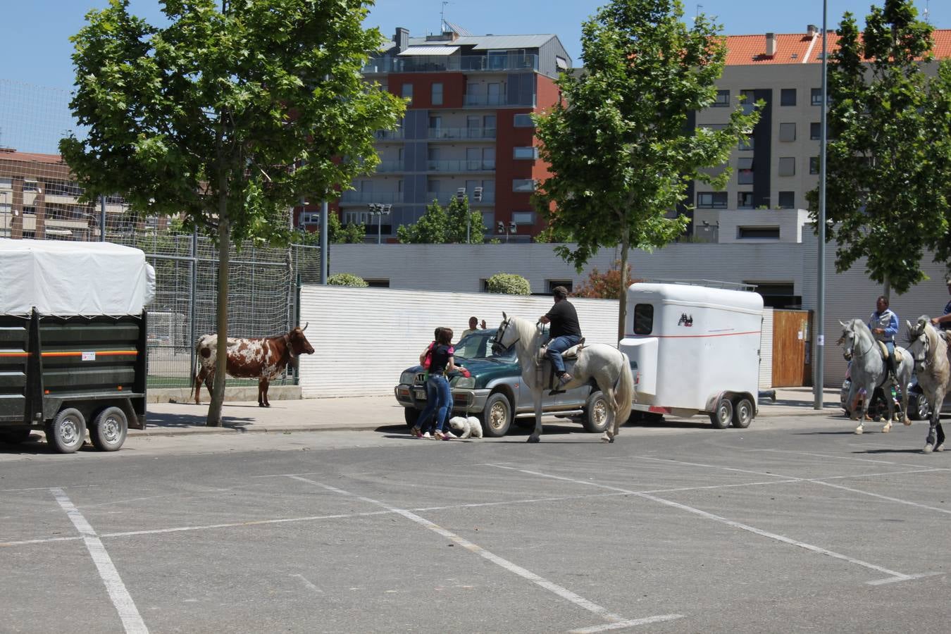 Fiesta de la trashumancia en Arnedo