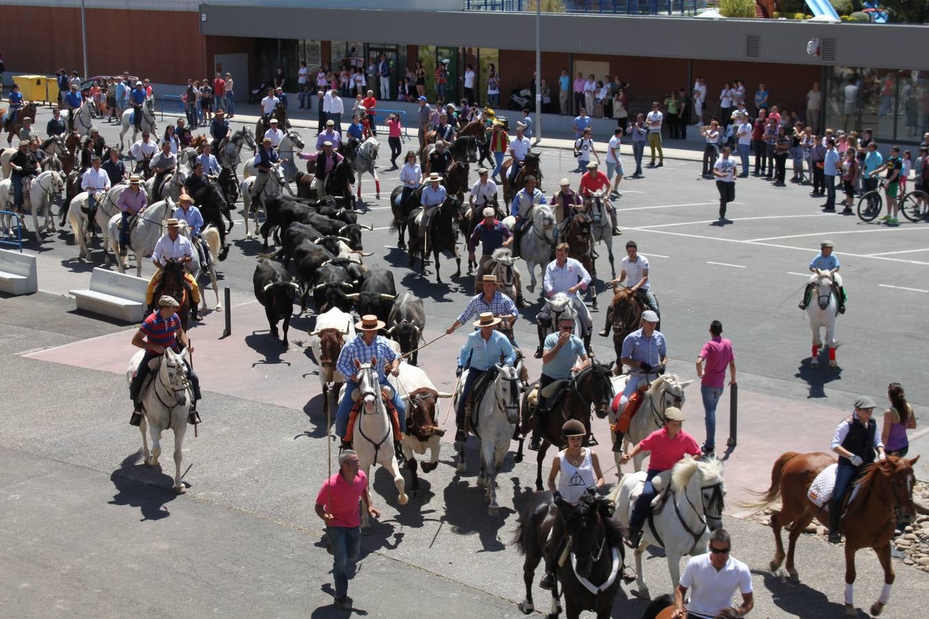 Fiesta de la trashumancia en Arnedo