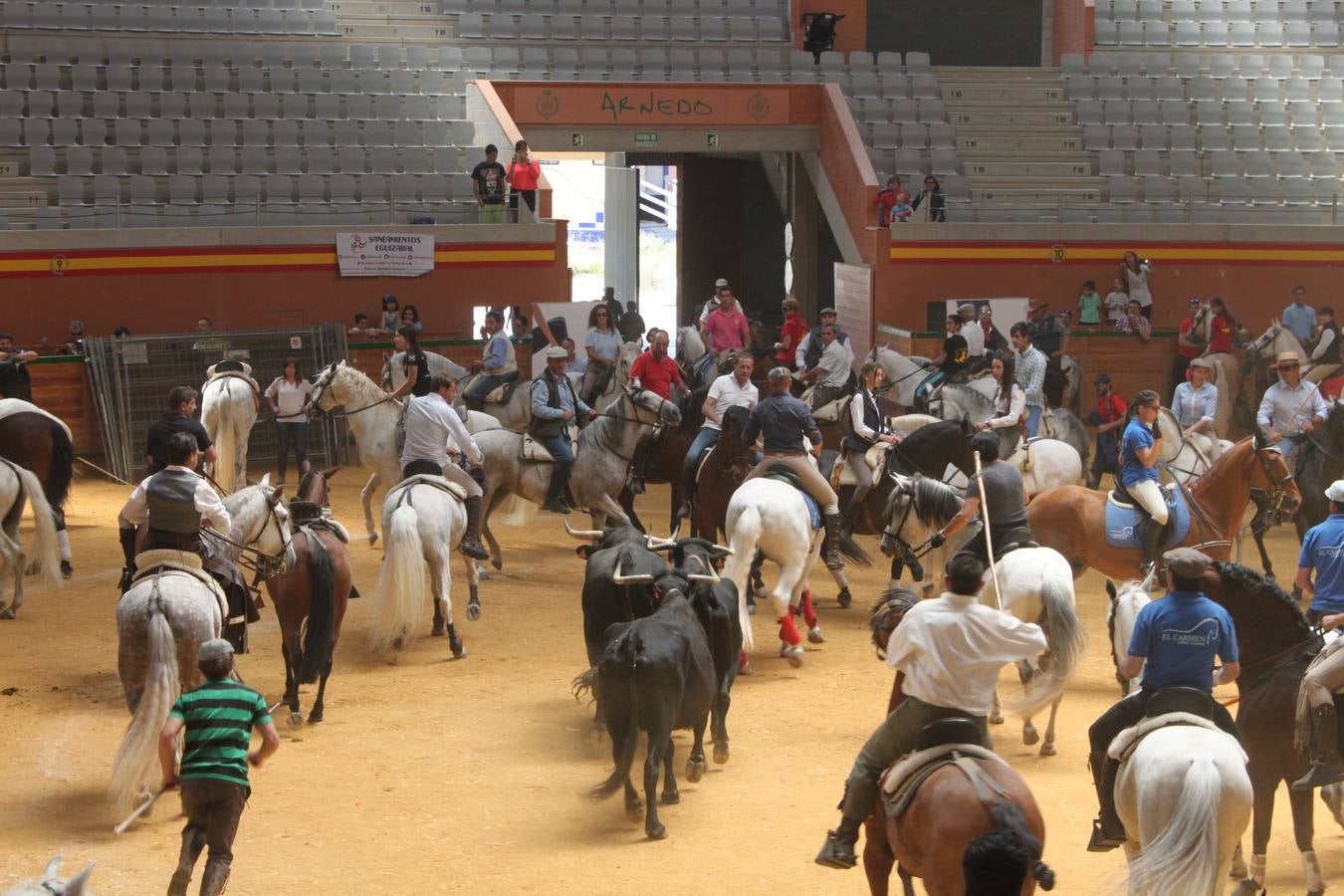 Fiesta de la trashumancia en Arnedo