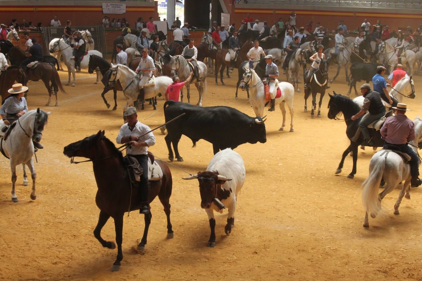 Fiesta de la trashumancia en Arnedo