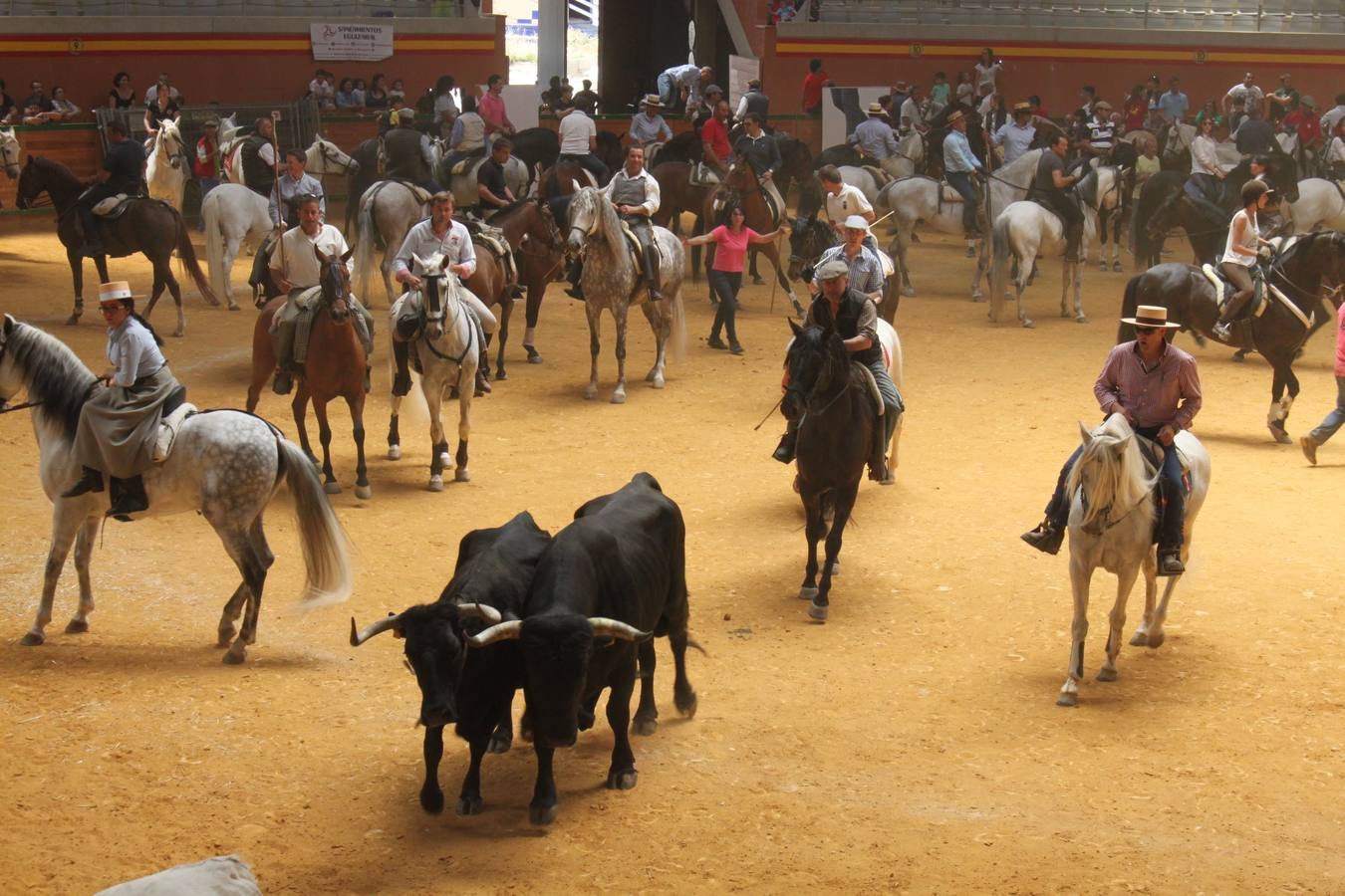 Fiesta de la trashumancia en Arnedo