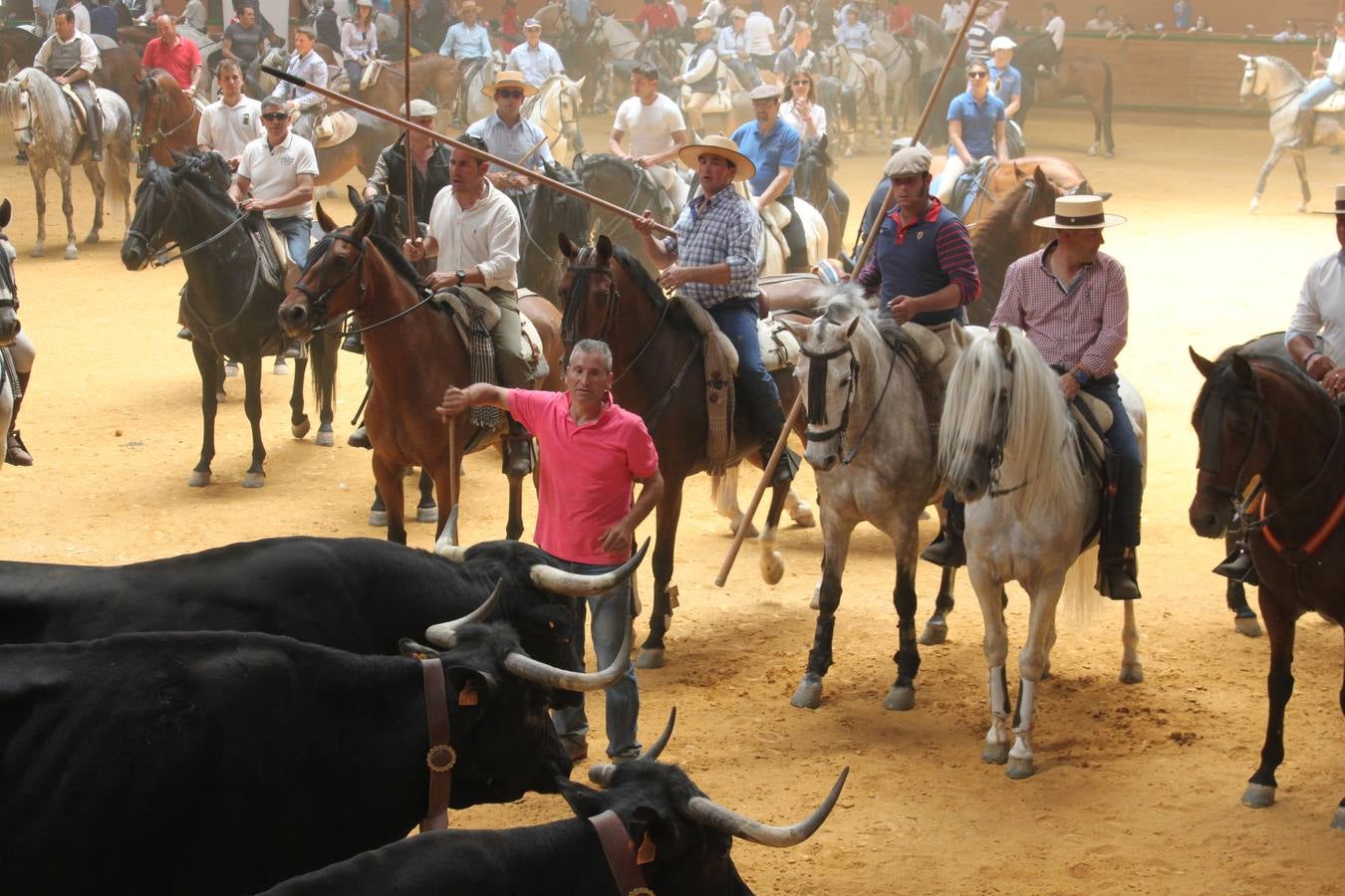 Fiesta de la trashumancia en Arnedo