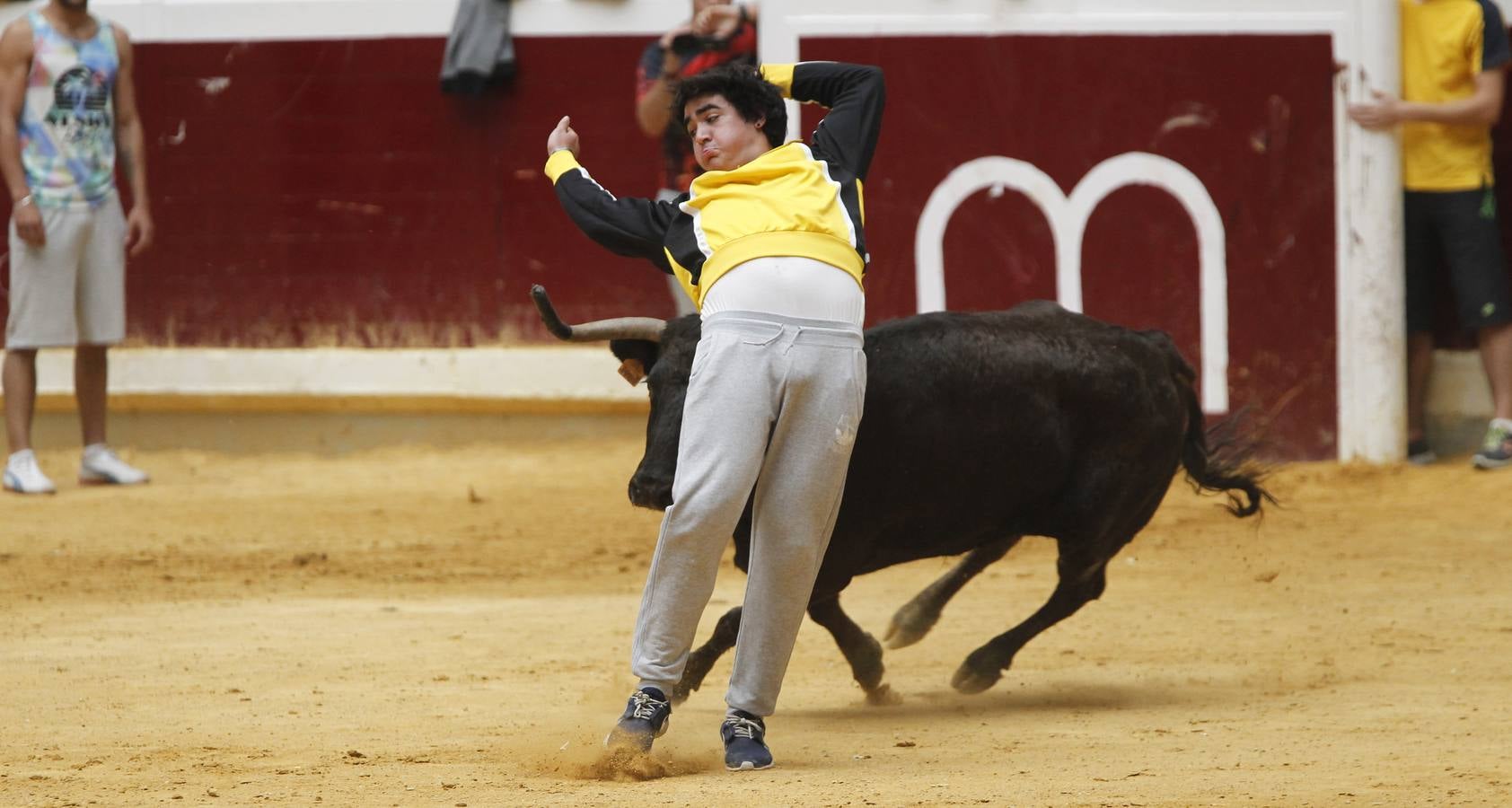 Festejo taurino en cumplimiento del voto de San Bernabé