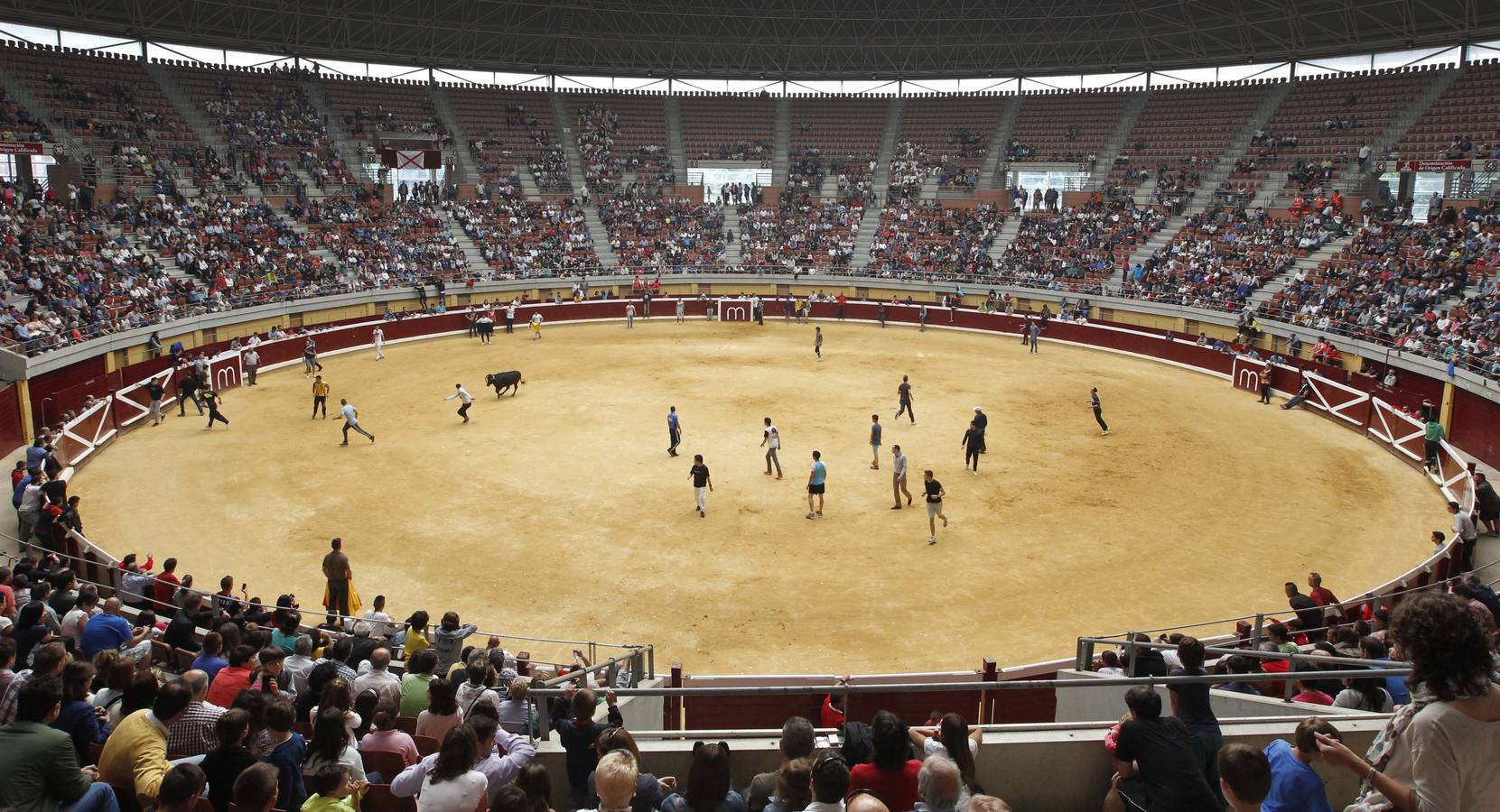 Festejo taurino en cumplimiento del voto de San Bernabé