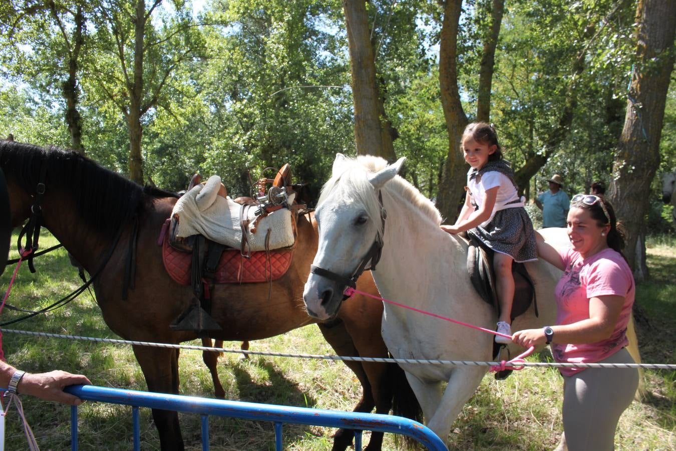 Arnedo: Romería de San Juan a Vico