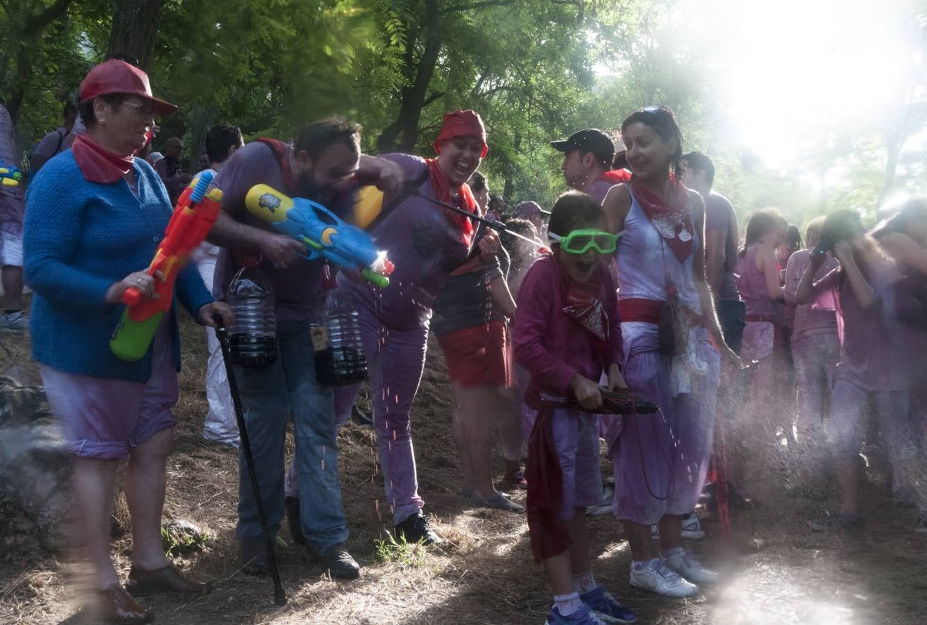 La Batalla del vino 2015 (2)