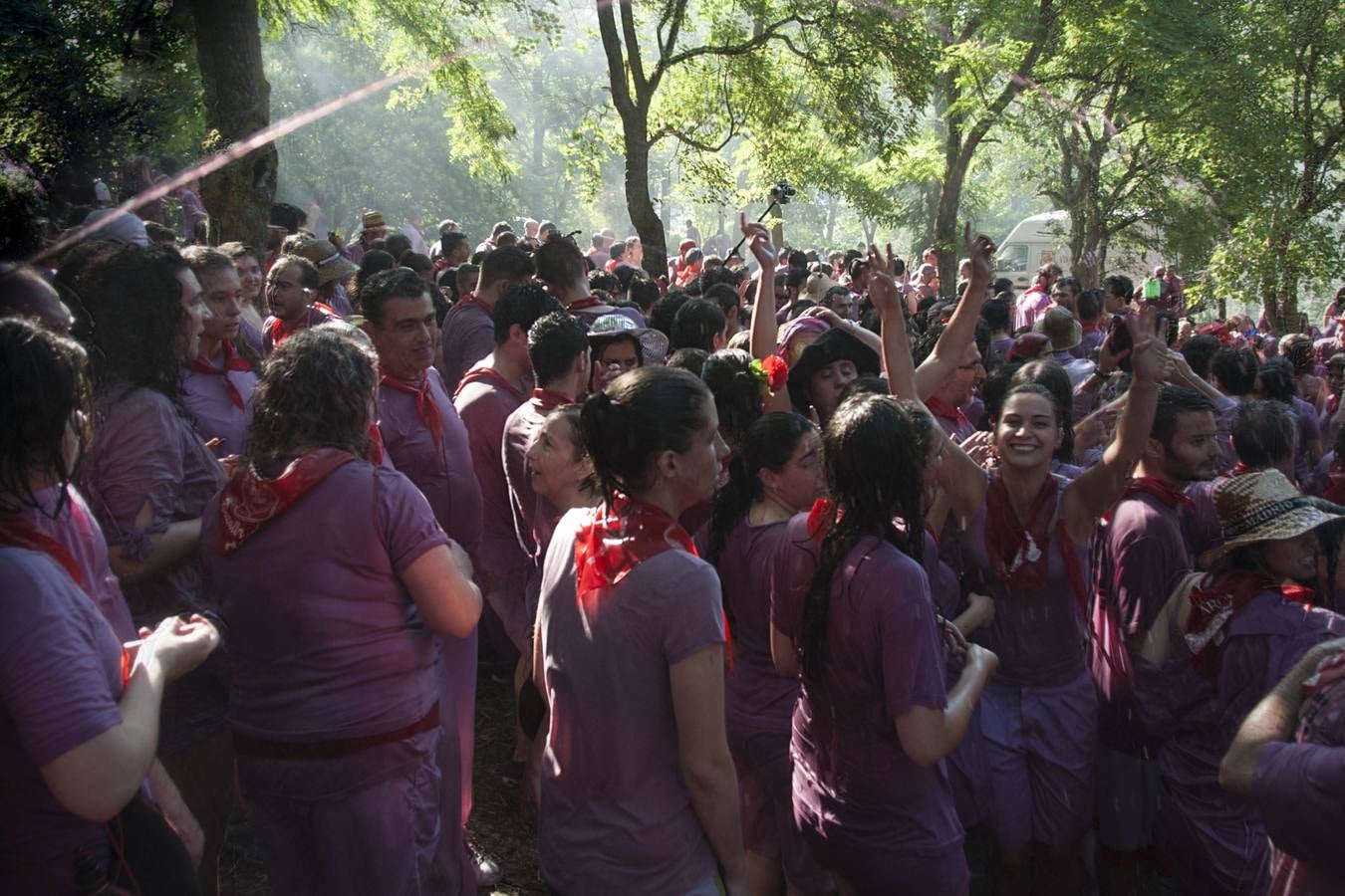 La Batalla del vino 2015 (2)