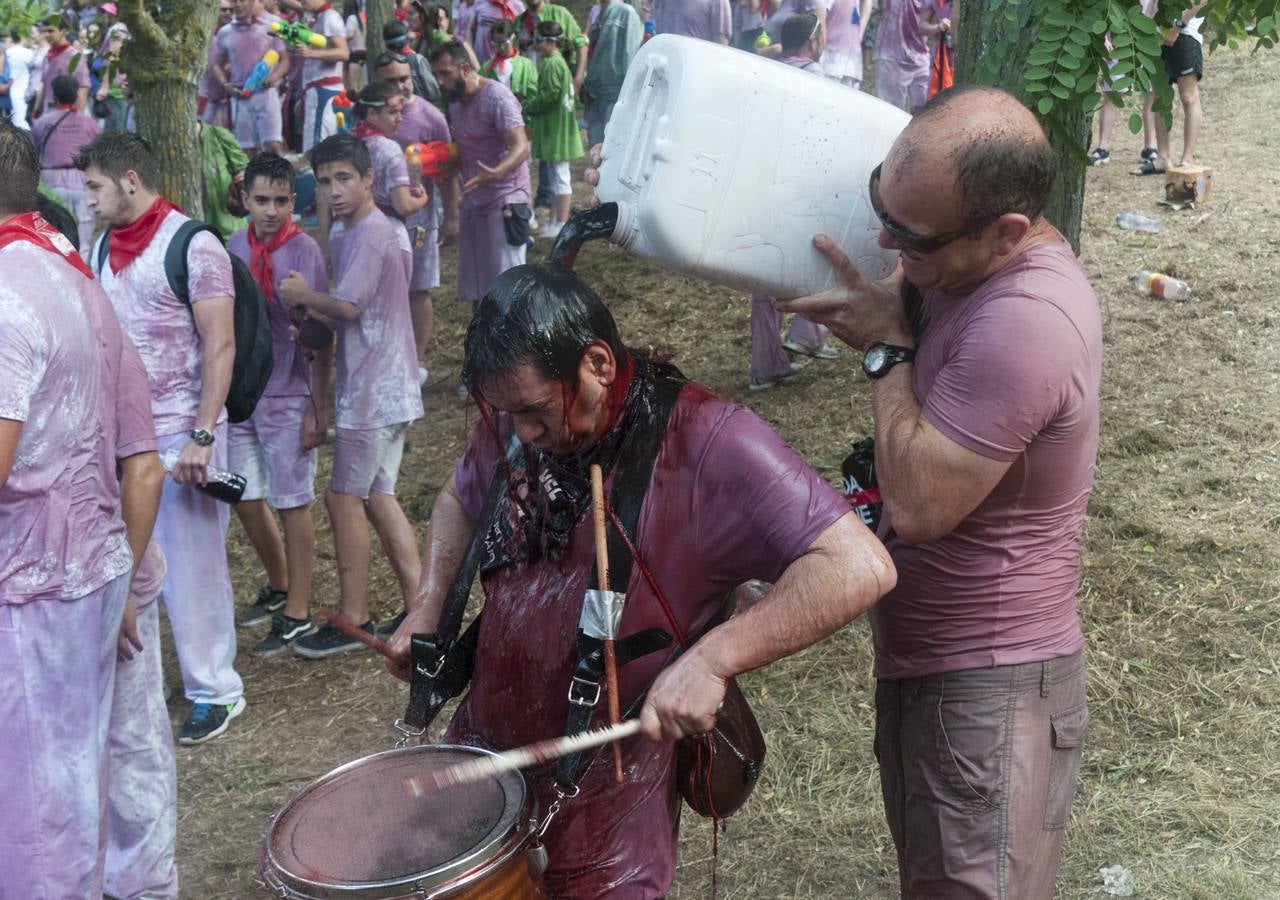 La Batalla del vino 2015 (2)