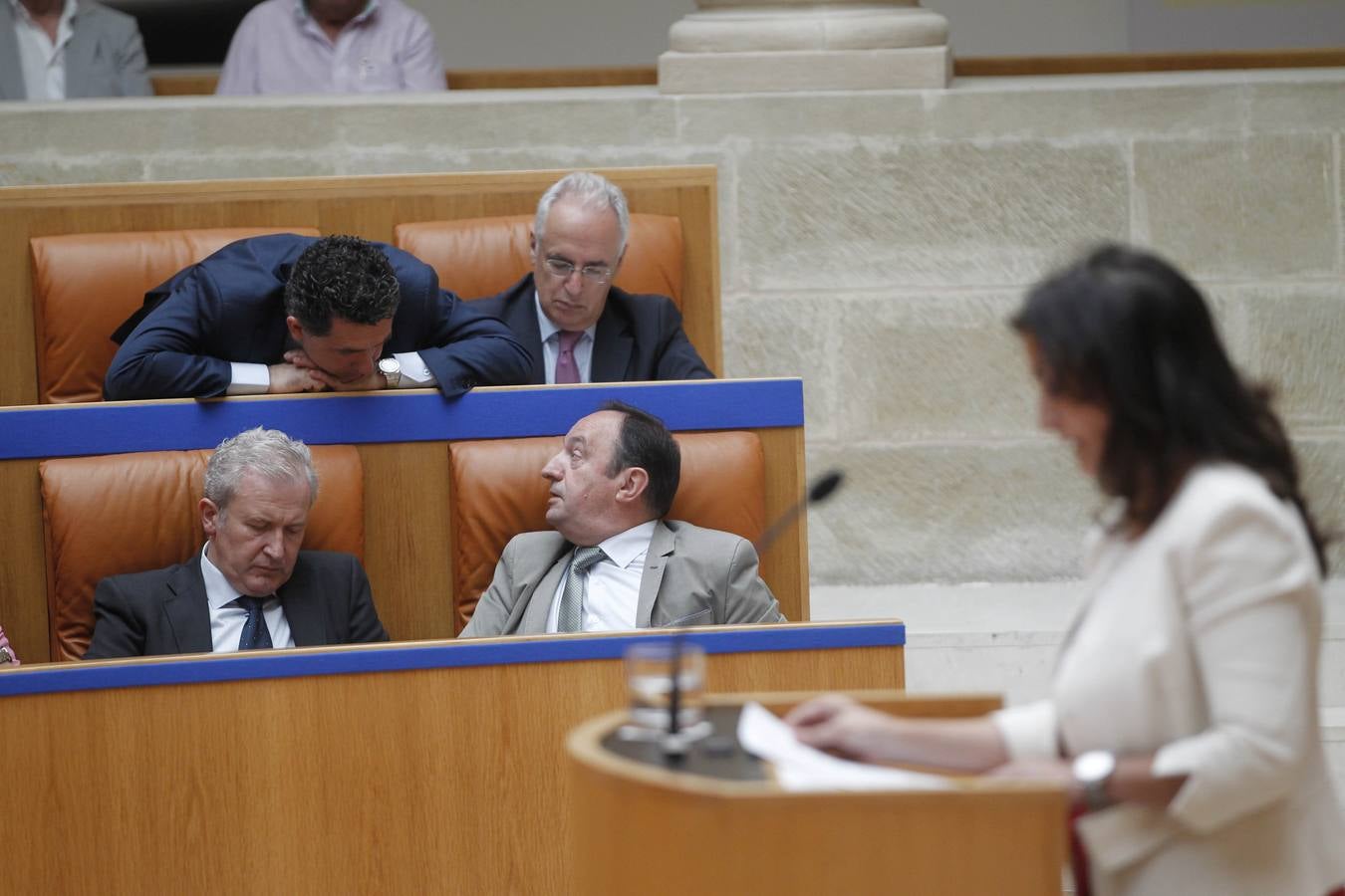 Ceniceros pierde la primera votación en el Parlamento riojano (II)