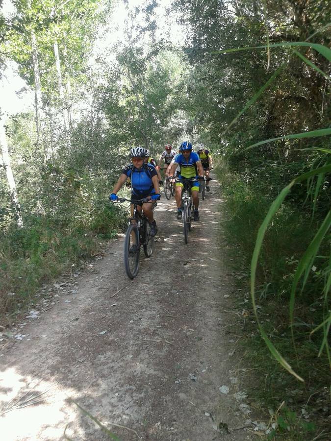 Día de la bicicleta en Alfaro