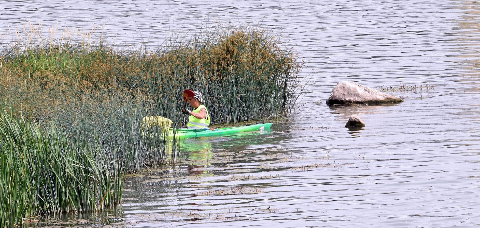 Voluntarios limpian el Ebro