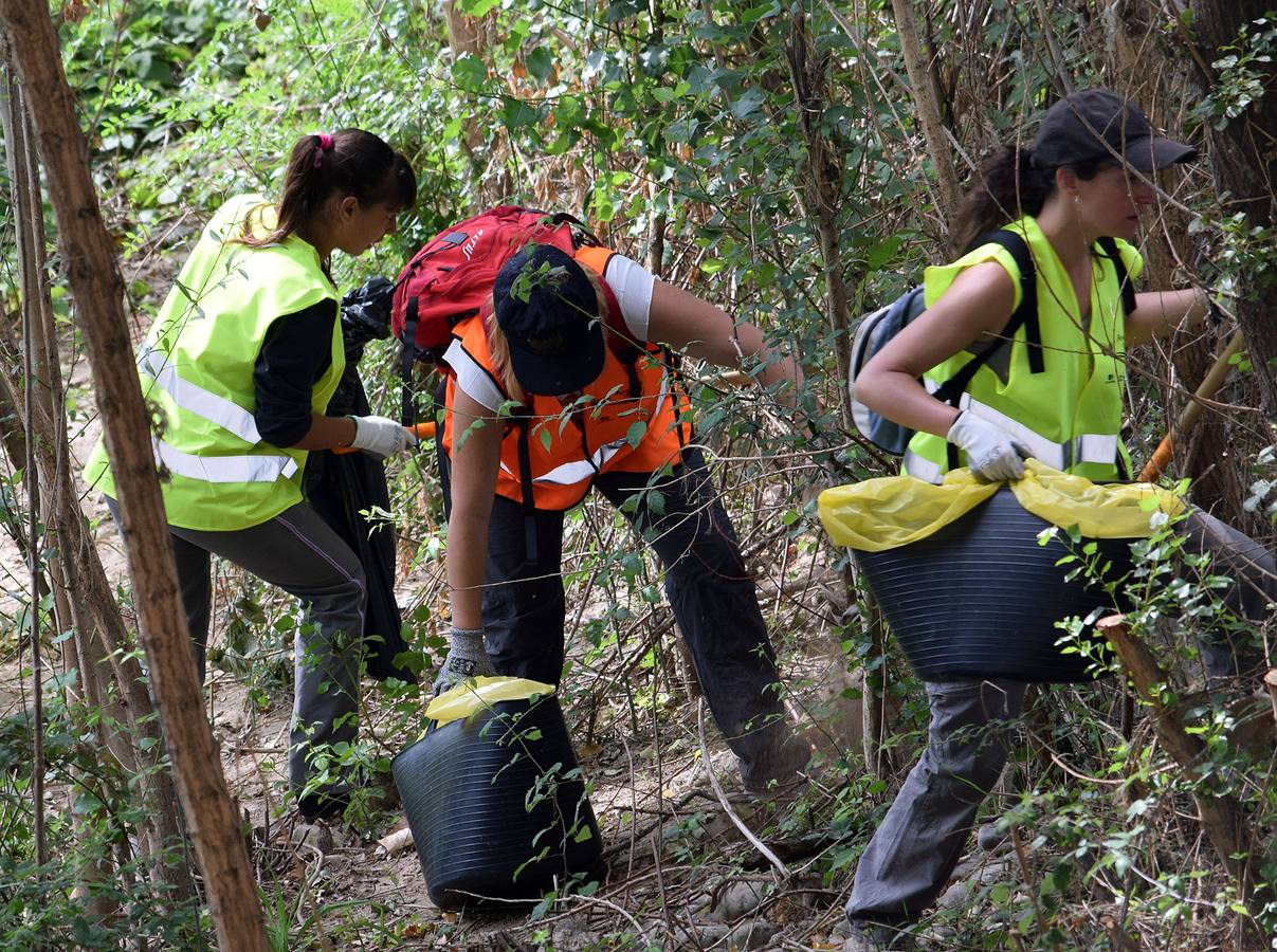 Voluntarios limpian el Ebro