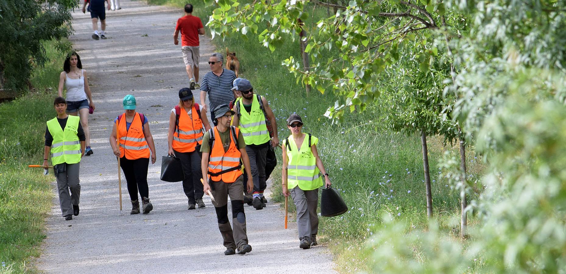 Voluntarios limpian el Ebro