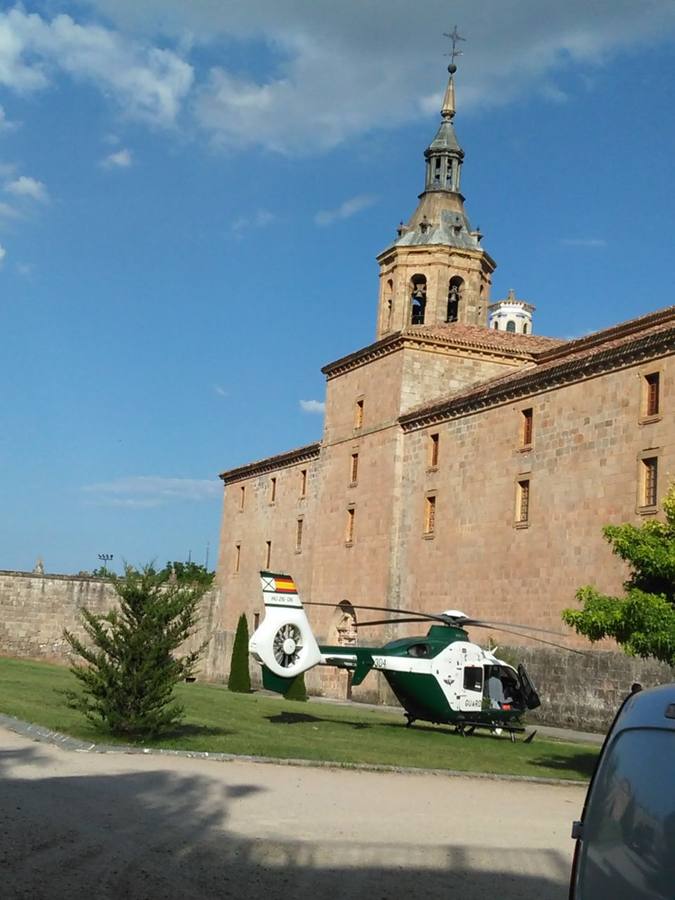 Olmos y Robles... ahora en San Millán