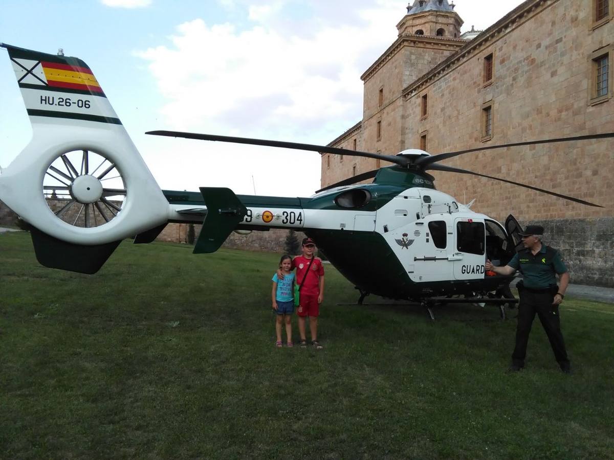 Olmos y Robles... ahora en San Millán