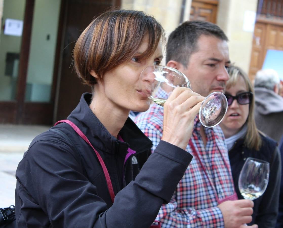 Las Noches de San Lorenzo en San Vicente de la Sonsierra