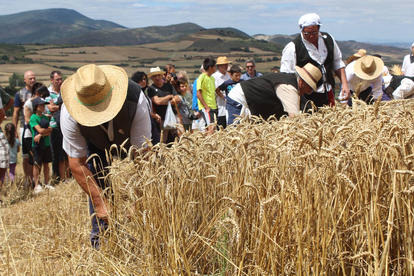 La molienda en el valle de Ocón