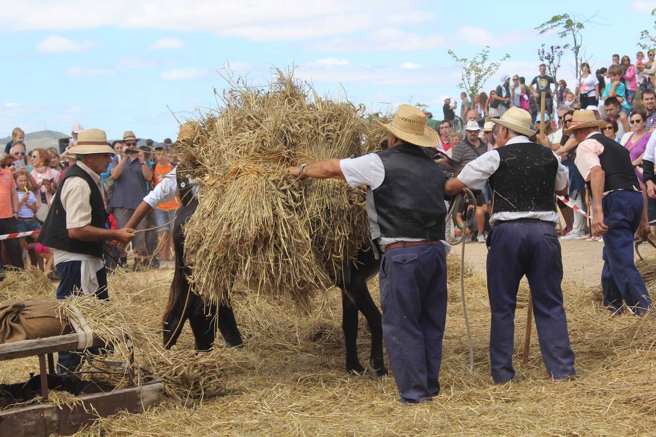 La molienda en el valle de Ocón