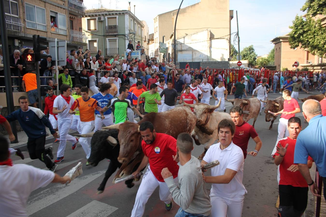 ¡Toros a mí!