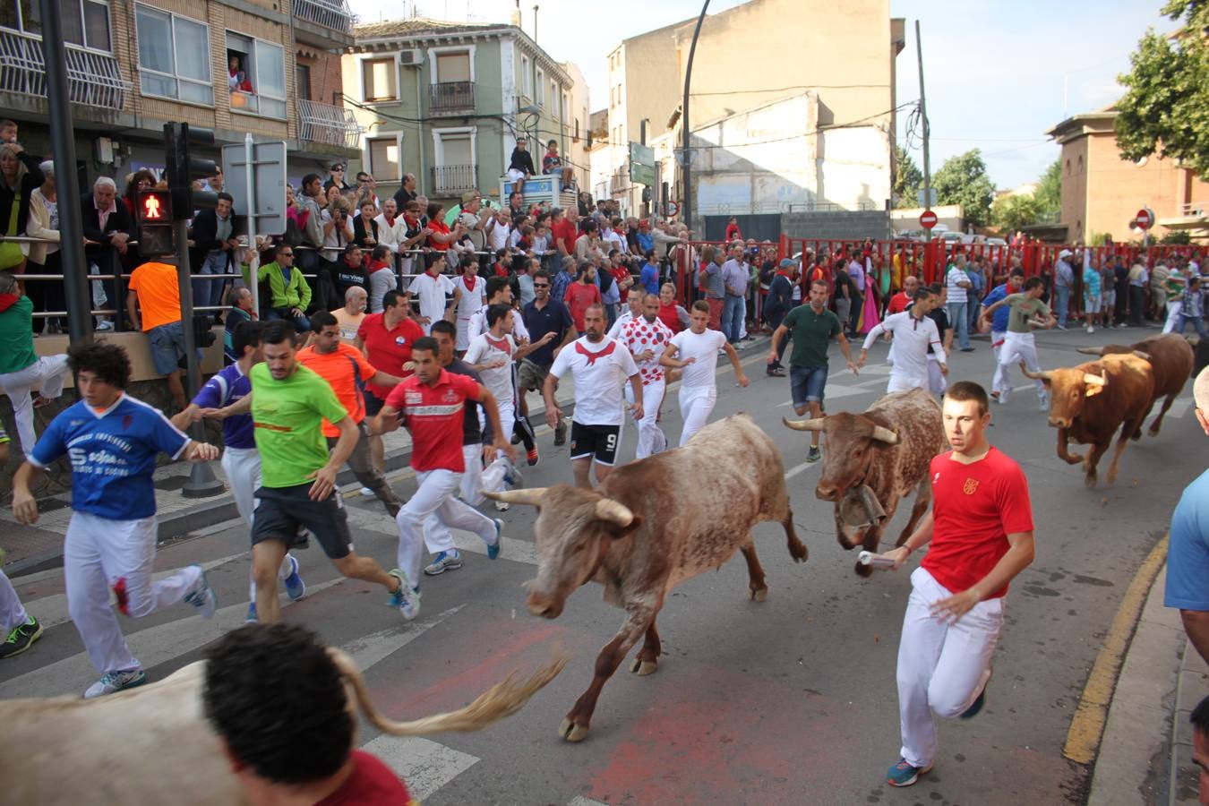 ¡Toros a mí!