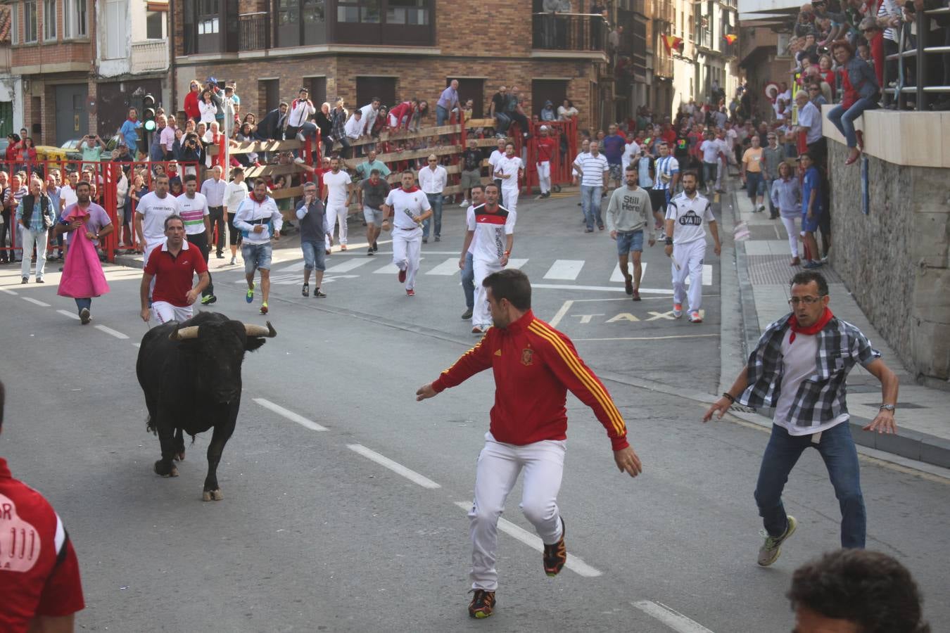 ¡Toros a mí!