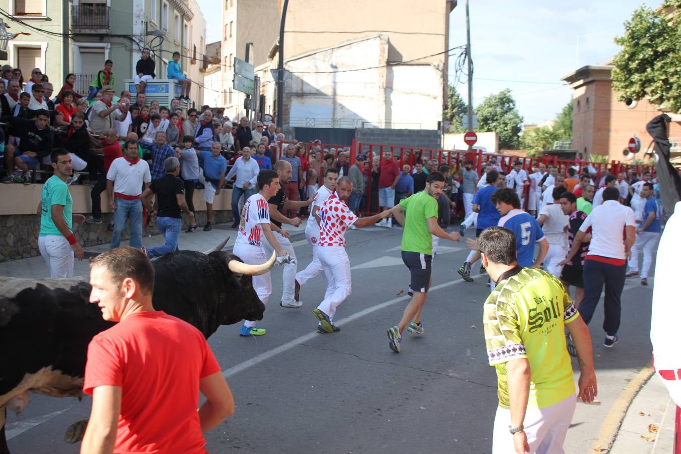 ¡Toros a mí!