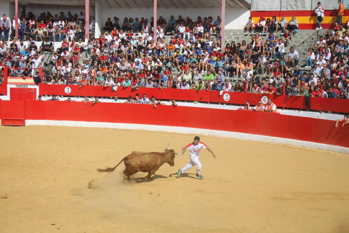 ¡Toros a mí!