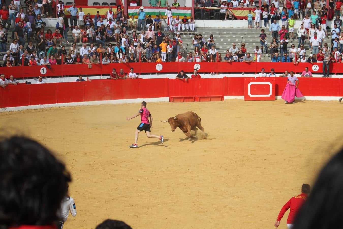 ¡Toros a mí!