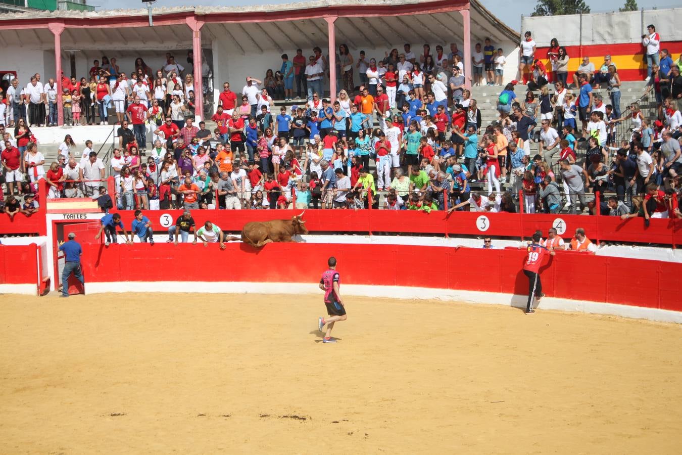 ¡Toros a mí!