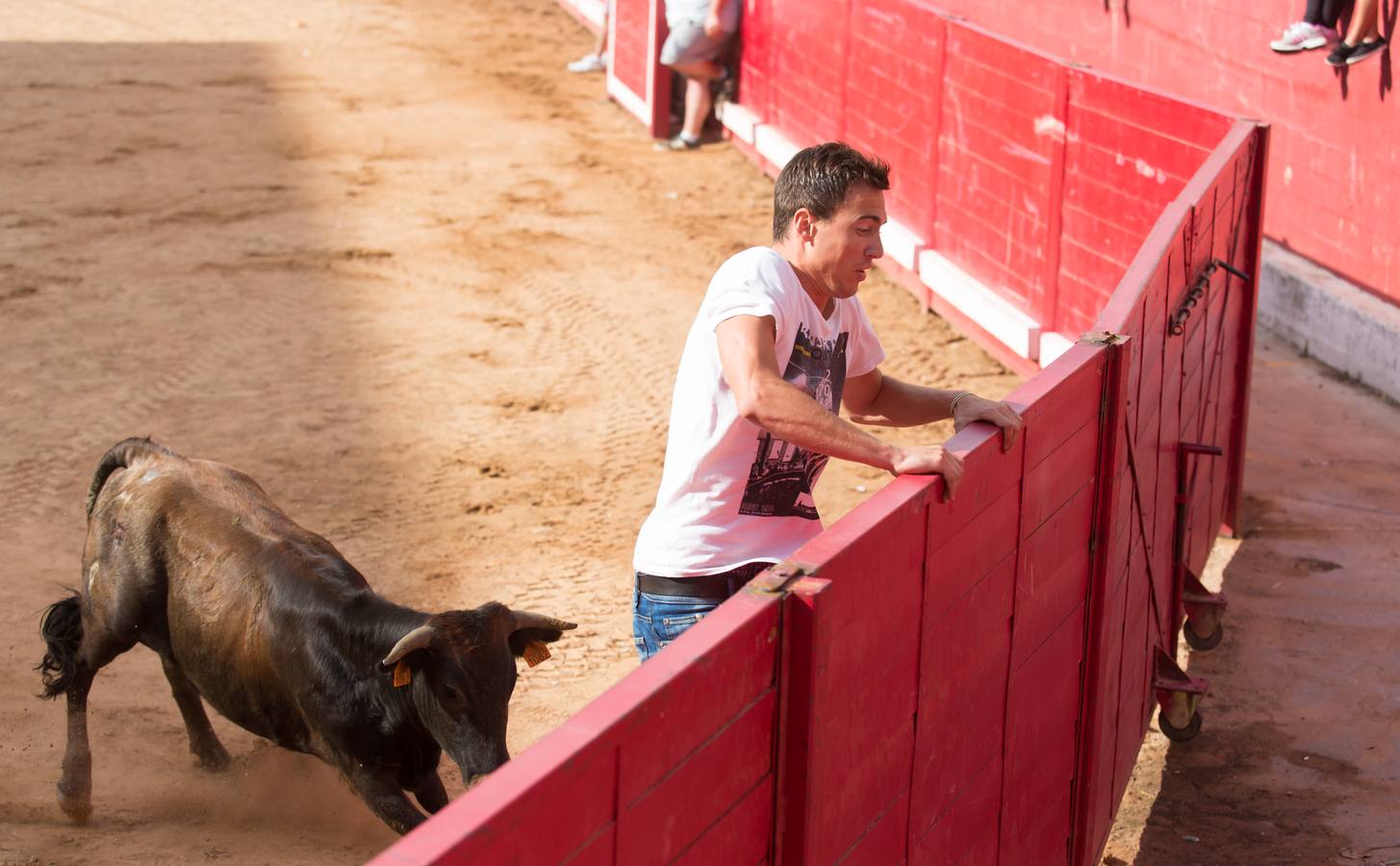 Sorteando vaquillas