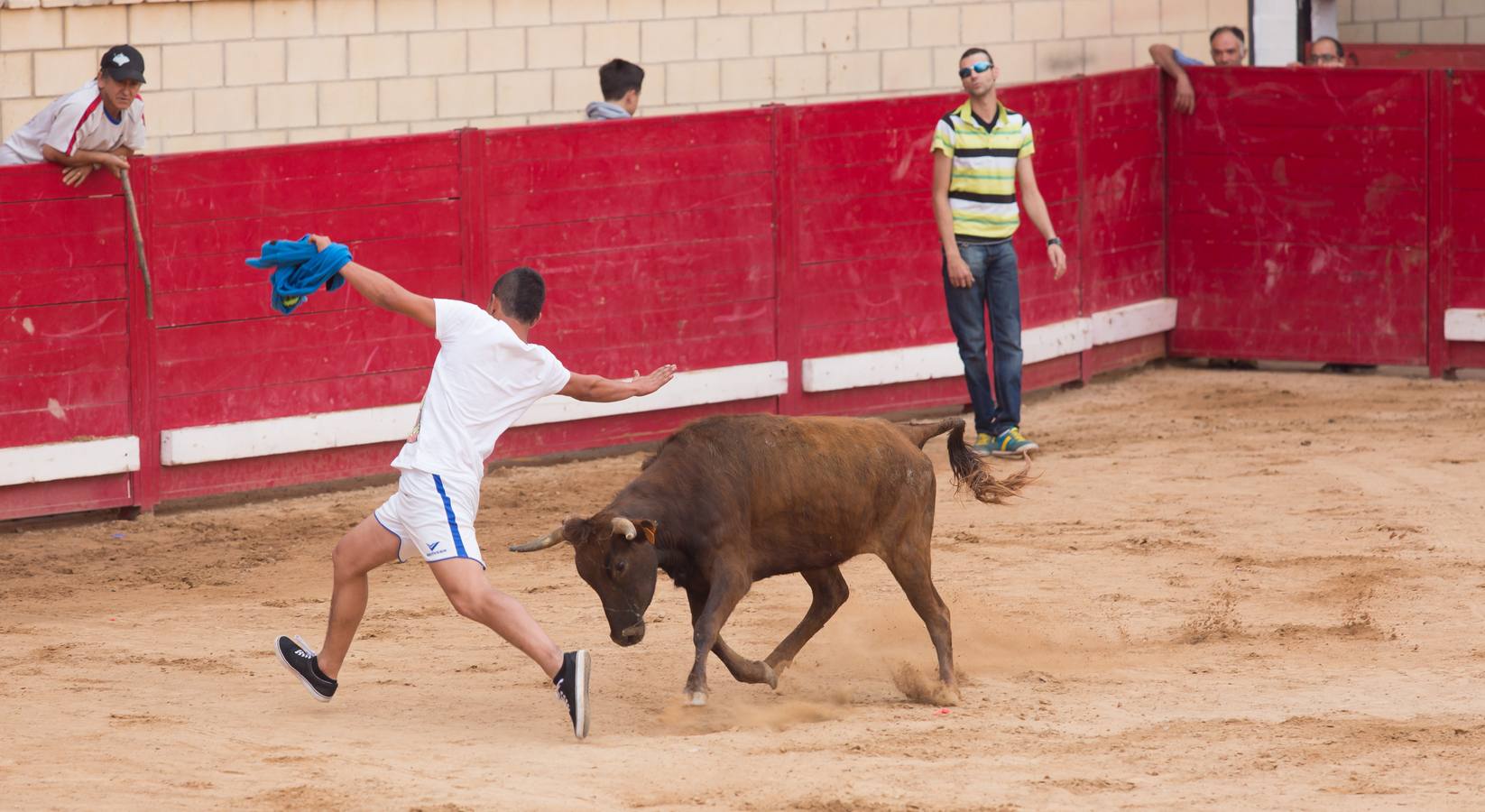 Sorteando vaquillas