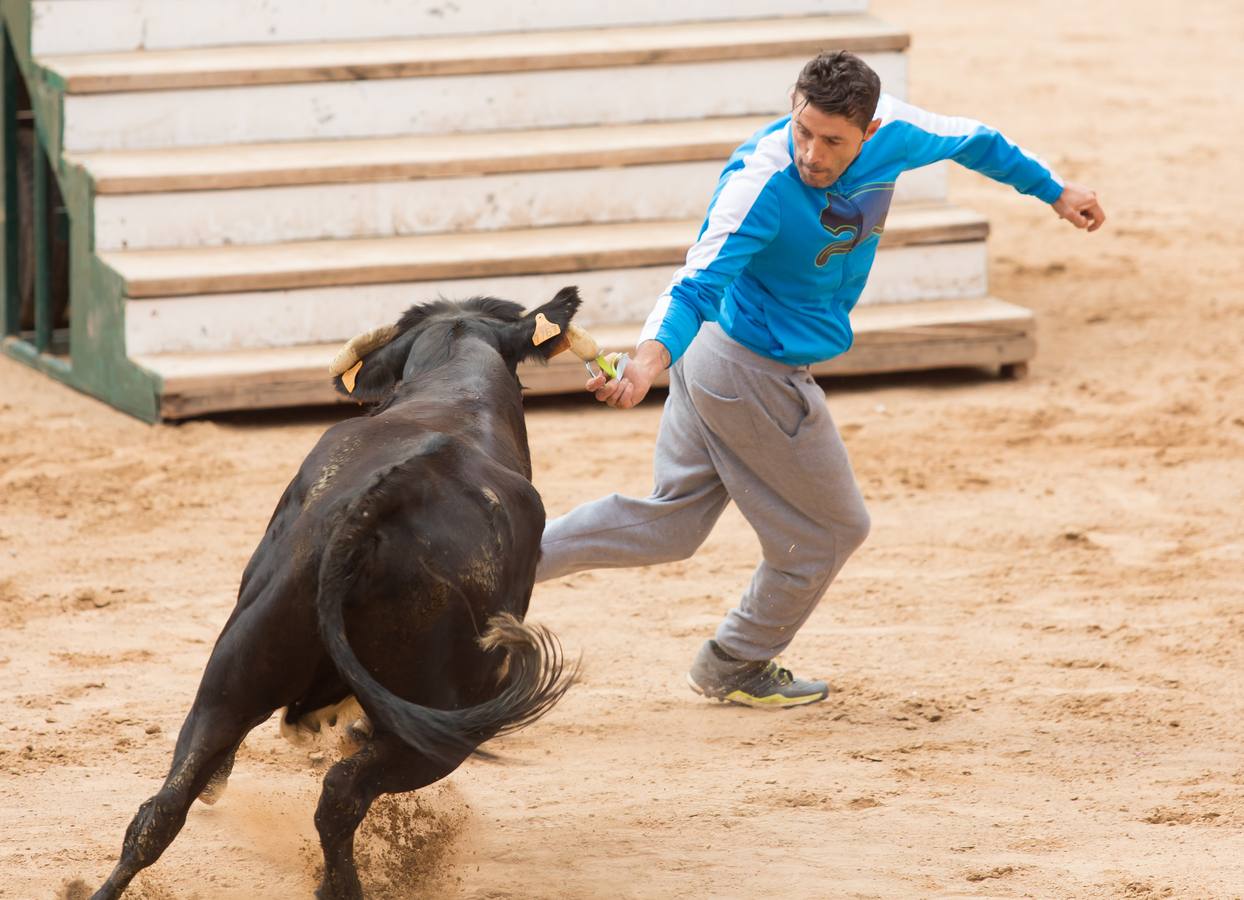 Sorteando vaquillas