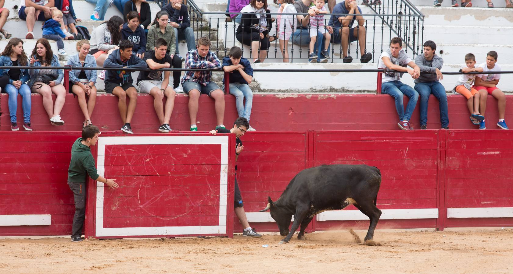 Sorteando vaquillas