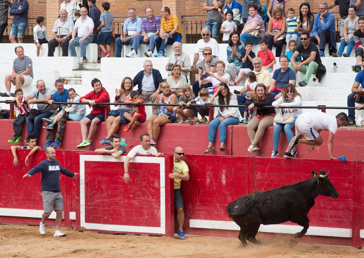 Sorteando vaquillas