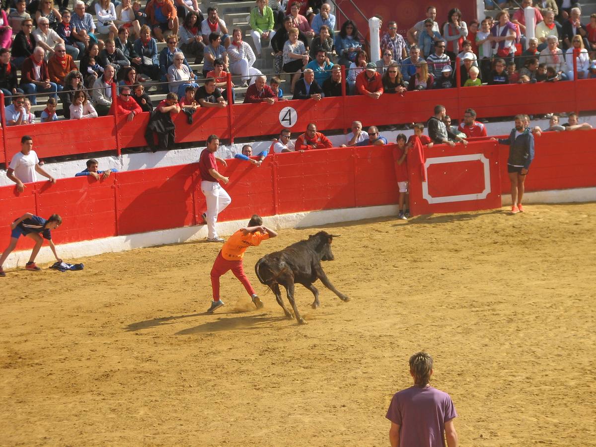 Alfaro dedica la jornada a las mujeres en su quinto día de fiestas