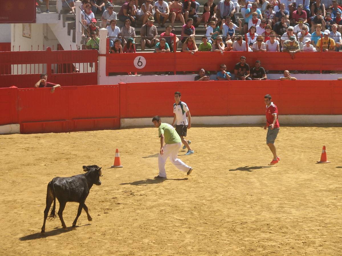 Alfaro dedica el sexto día de fiestas a los jóvenes