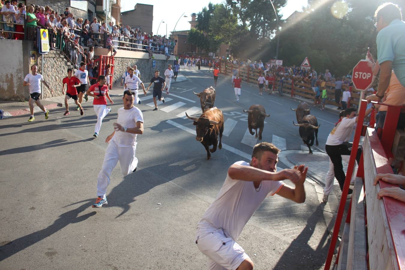 Día de huelga en Alfaro