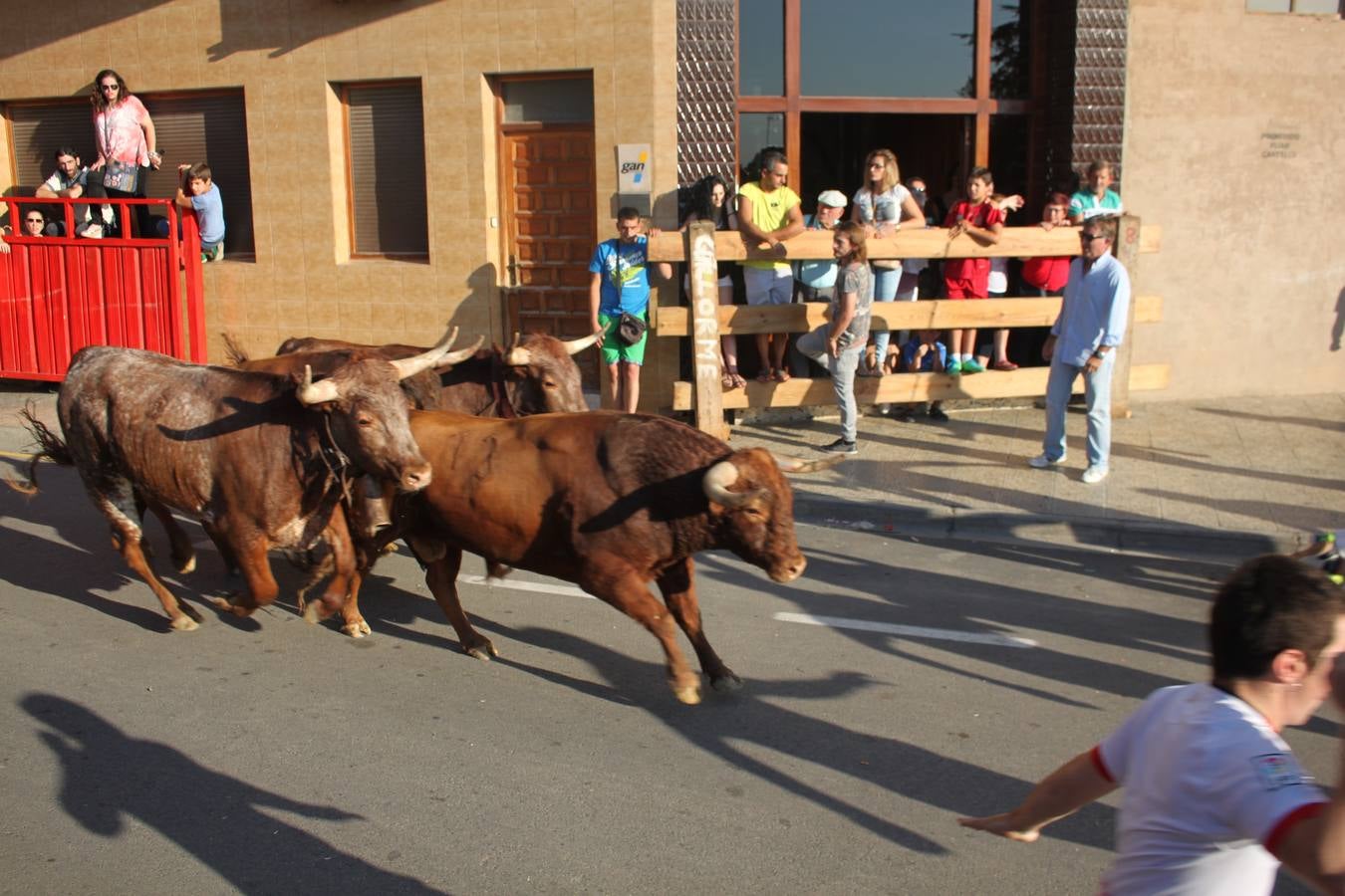 Día de huelga en Alfaro